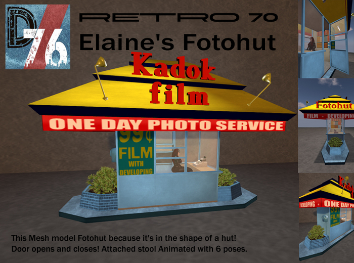 D76- RETRO 70'S Elaine's Fotohut