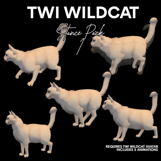 Twi Wildcat Stance Pack 1