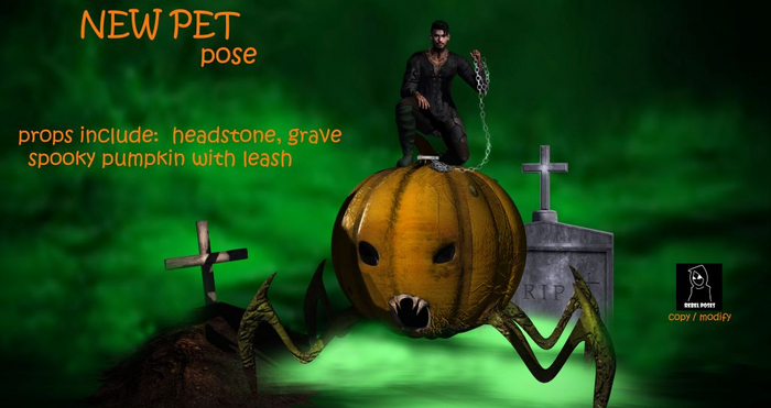 -RP- New Pet