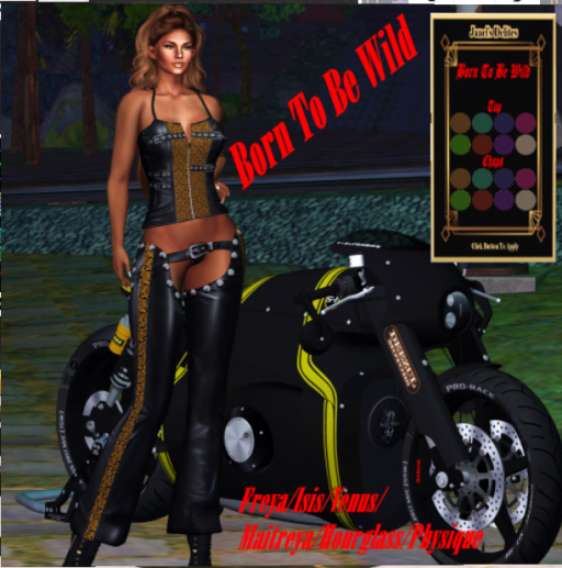 Born To Be Wild Outfit
