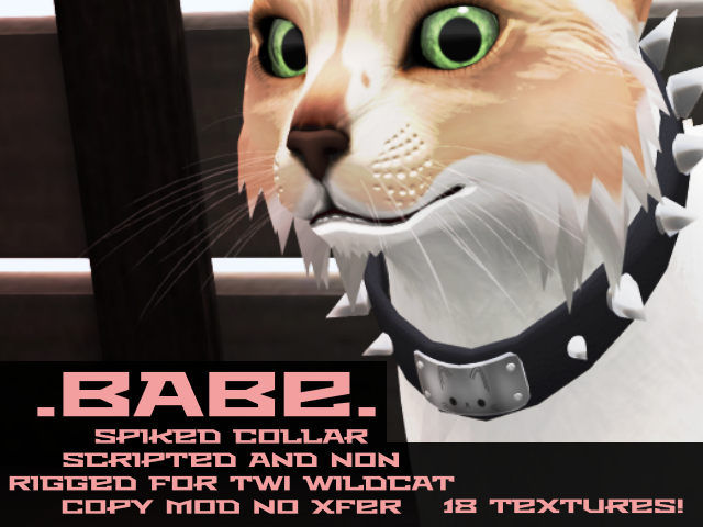 .Babe. WildCat Spiked Collar