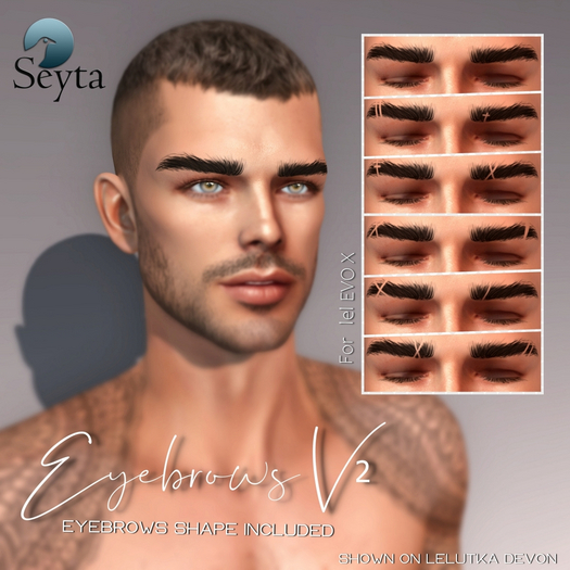 Seyta-EyeBrows V2