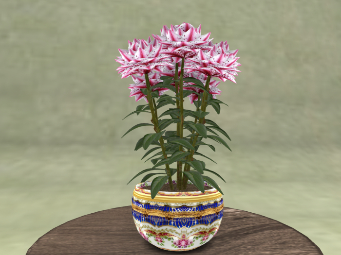 Pink Striped Camellia Potted Plant 