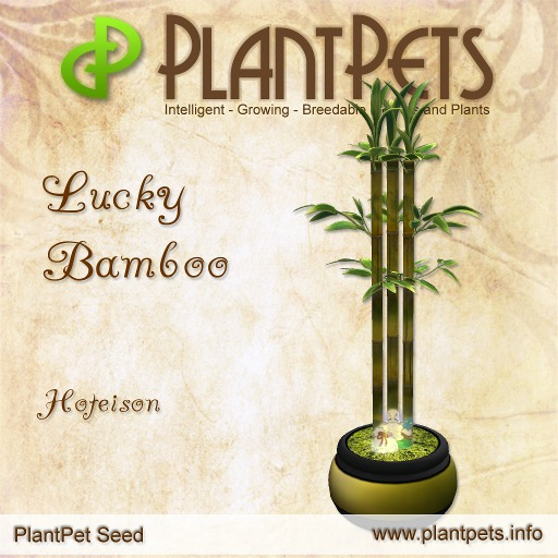 PlantPet Seed [Lucky Bamboo *Hoteison*] Updated