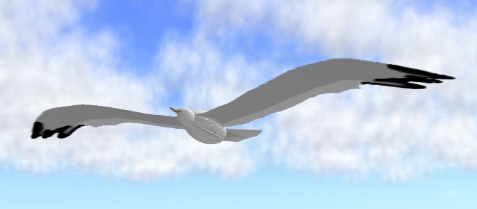 Rosher - Seagull - (C)
