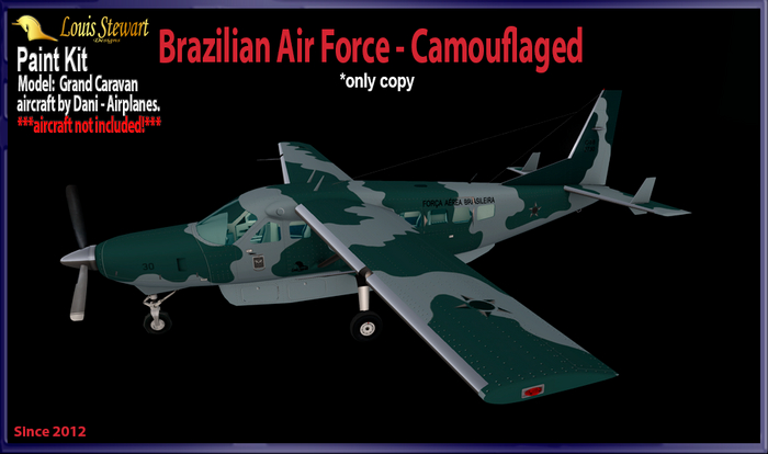 Paint Ext. GrandCaravan (FAB Camouflaged)