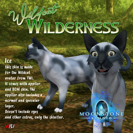 {:: TMS ::} Wildcat Wilderness Skin Ice [BOX]