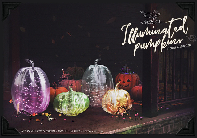 {vespertine}-illuminated pumpkins FATPACK