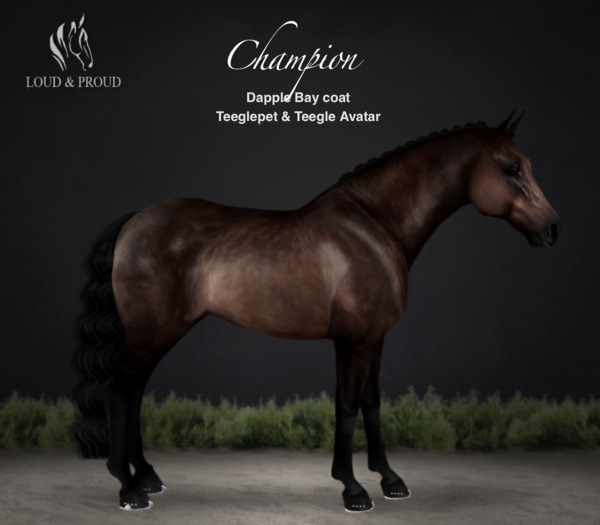 Loud & Proud - Teegle - Champion Coat