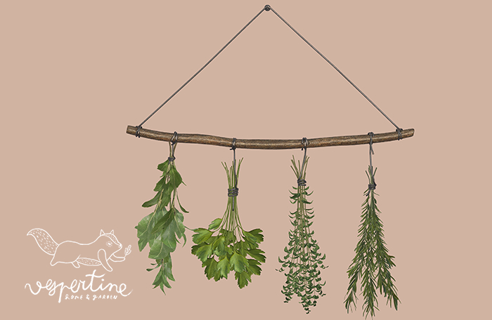 {vespertine} herb drying 