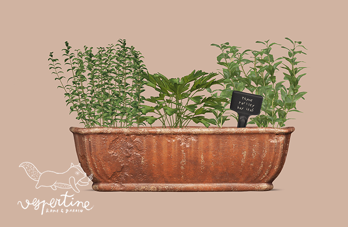 {vespertine} - potted herb set mix 2