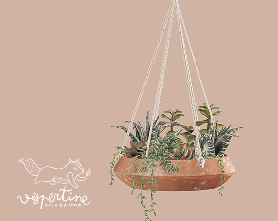 {vespertine} hanging succulents. - succulent bowl mix.