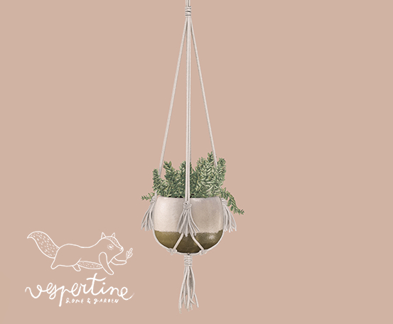 {vespertine} hanging succulents. - sedum burrito.