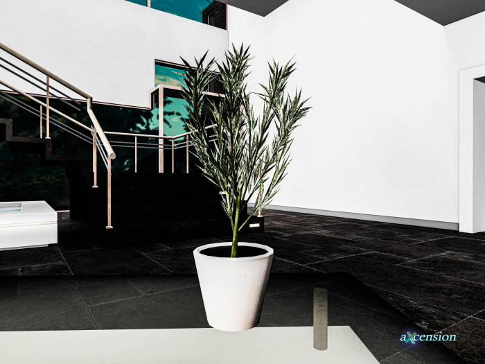aX: Small Plant Petit