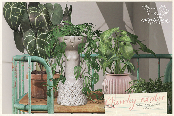{vespertine} -quirky exotic plants FATPACK bx.