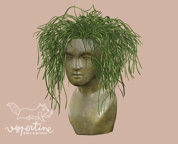 {vespertine} - head planter / messy rhipsalis 