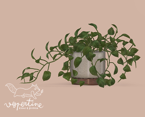 {vespertine} - vine epipremnum