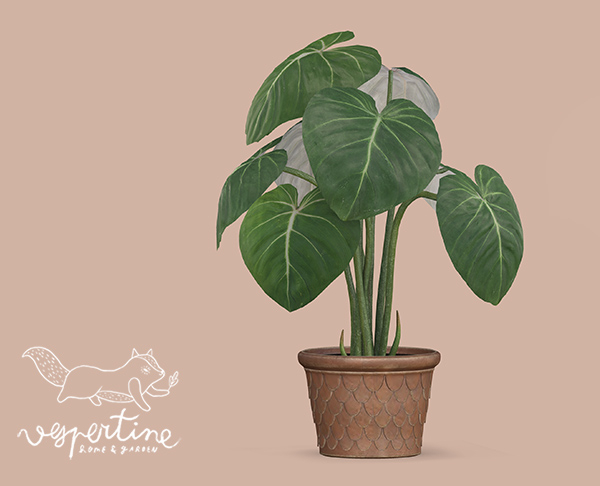 {vespertine} - philodendron gloriosum 