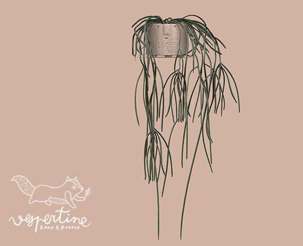{vespertine} - mistletoe cactus