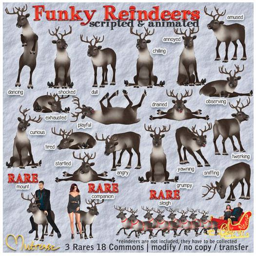 Mutresse-Amused-Funky Reindeers
