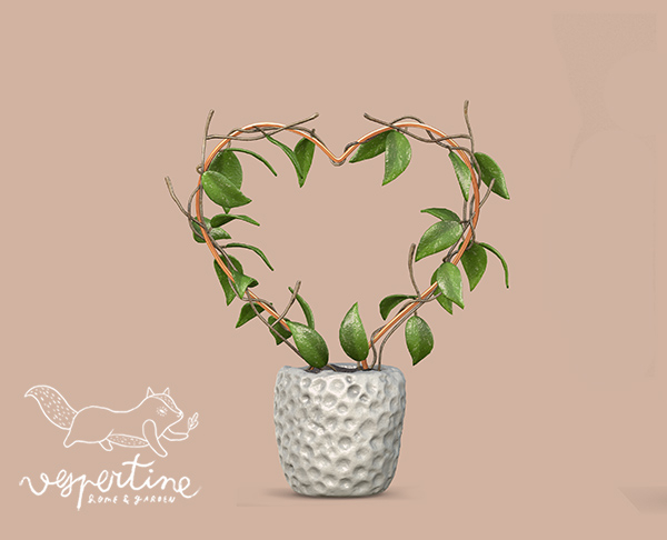 {vespertine} - planty love / wax plant trellis 