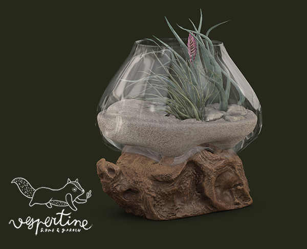 {vespertine} - melted glass airplants terrarium.