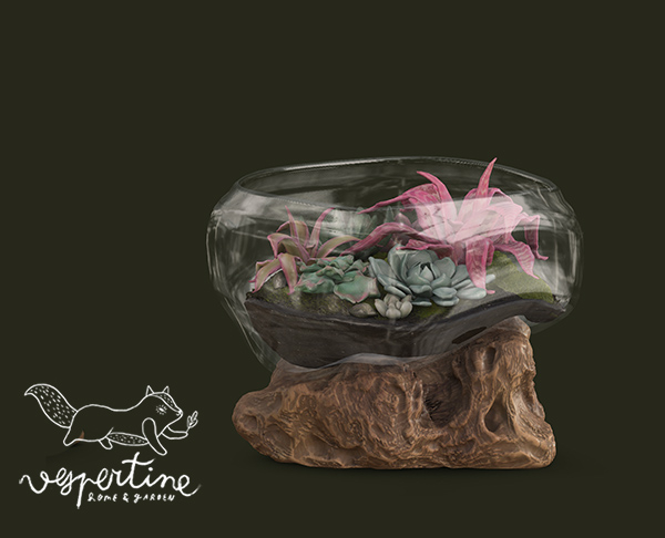 {vespertine} - melted glass succulents terrarium.