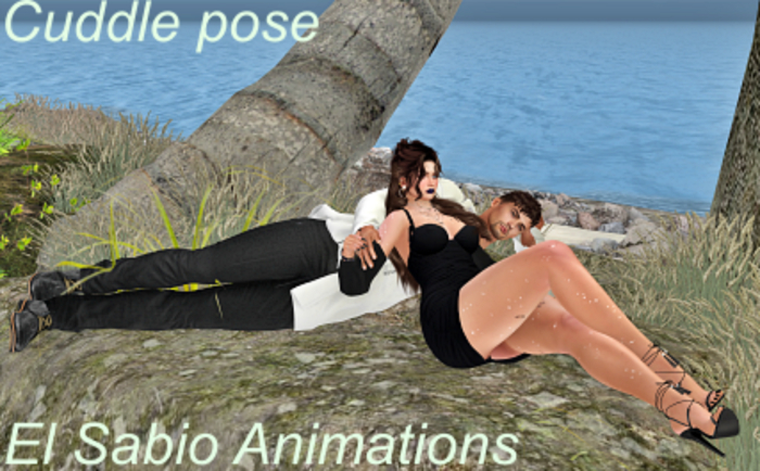 Cuddle Couple poses Package