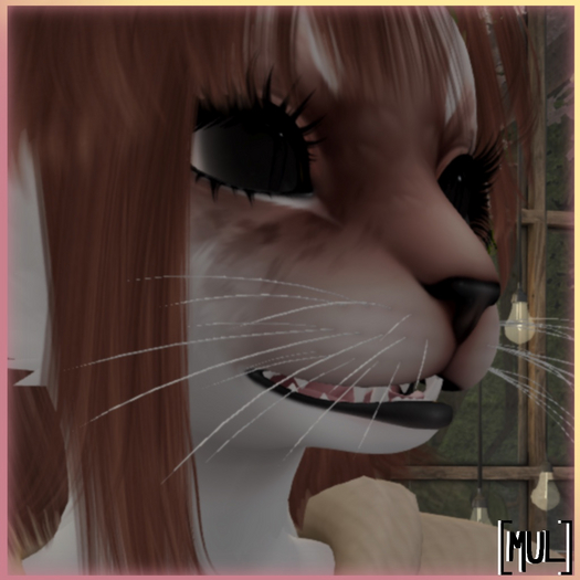 [MUL] Katy cat BOM eyes