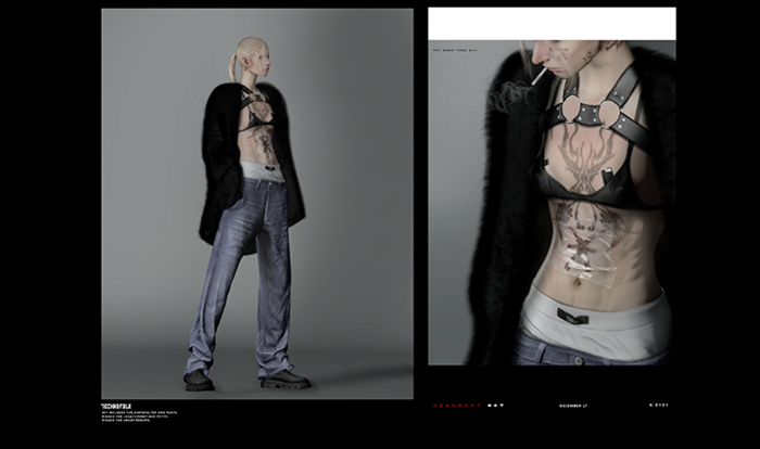 TECHNOFOLK_Headshot Harness_Fatpack.