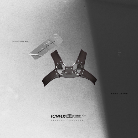 TECHNOFOLK_Headshot Harness_003.