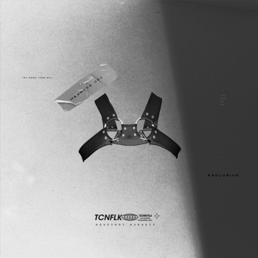 TECHNOFOLK_Headshot Harness_001.