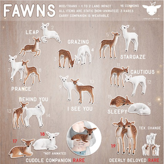+Half-Deer+ Fawn - Cuddle Companion (Snow) RARE