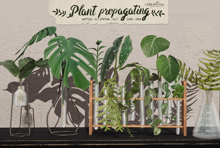 {vespertine} - plant propagation station. 