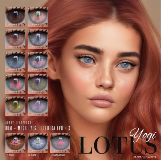 5. LOTUS. Yogi Eyes [boxed]