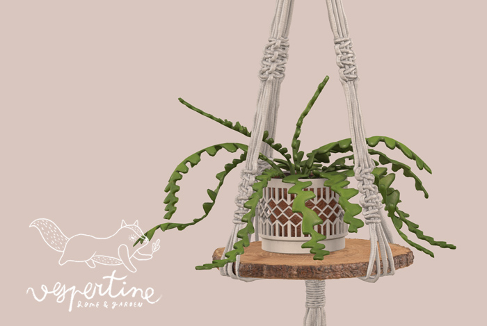 {vespertine} - hanging macrame planters. - fishbone cactus