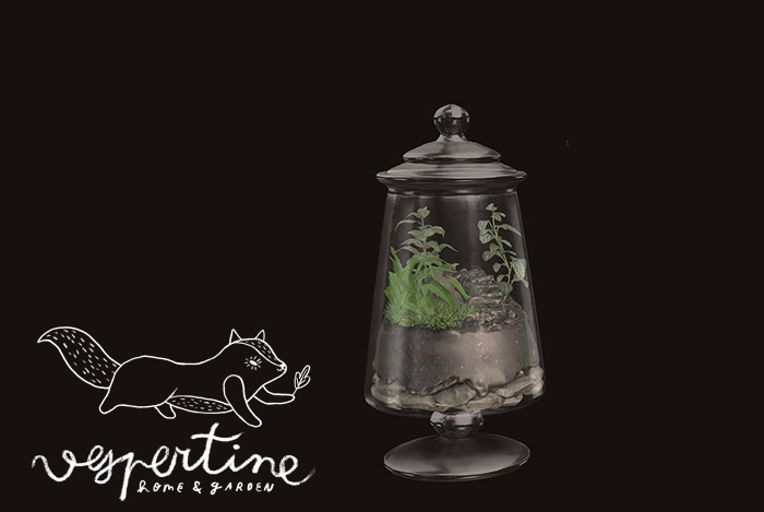 {vespertine} - mossy stairs terrarium.