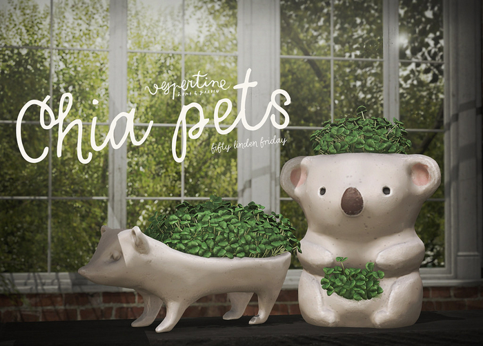 {vespertine} -  chia pets. / koala 