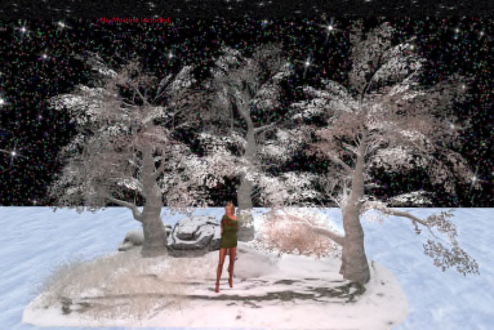 Large Christmassy Outdoors