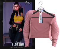 Blossom// #14 Coral - Patsy Sweater