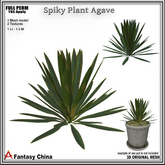 Full Perm Spiky Plant Agave