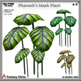 Full Perm Pharaoh's Mask Plant s-2