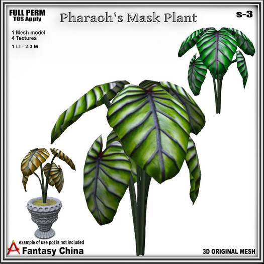 Full Perm Pharaoh's Mask Plant s-3 