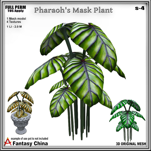 Full Perm Pharaoh's Mask Plant s-4 