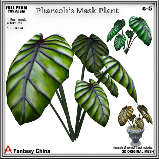 Full Perm Plant - Pharaoh's Mask Plant