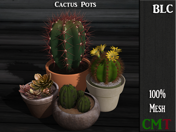 BLC Cactus Pots