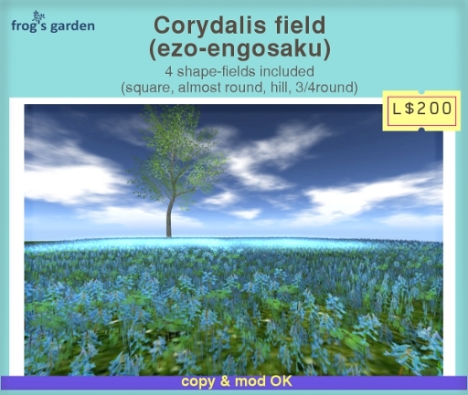 Colydalis field