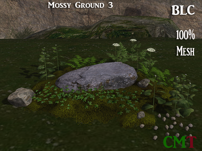 BLC Mossy ground 3