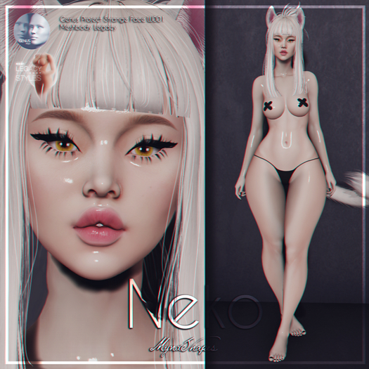 Genus Project Strange Face W001 bento - Neko shape (Add)