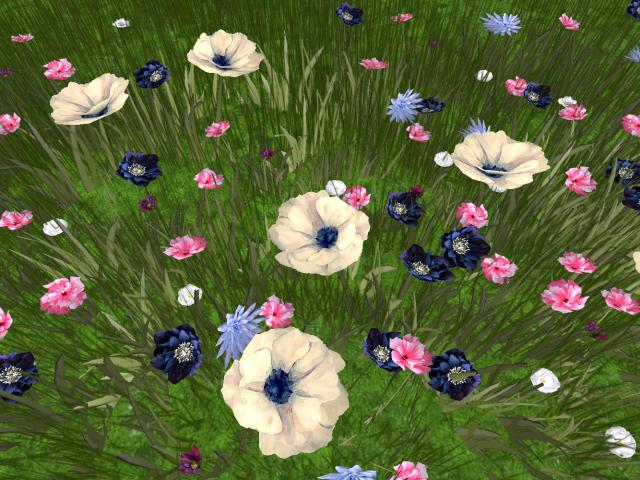 RW - spring summer flower grass patch 2 *Bouddi* c/m